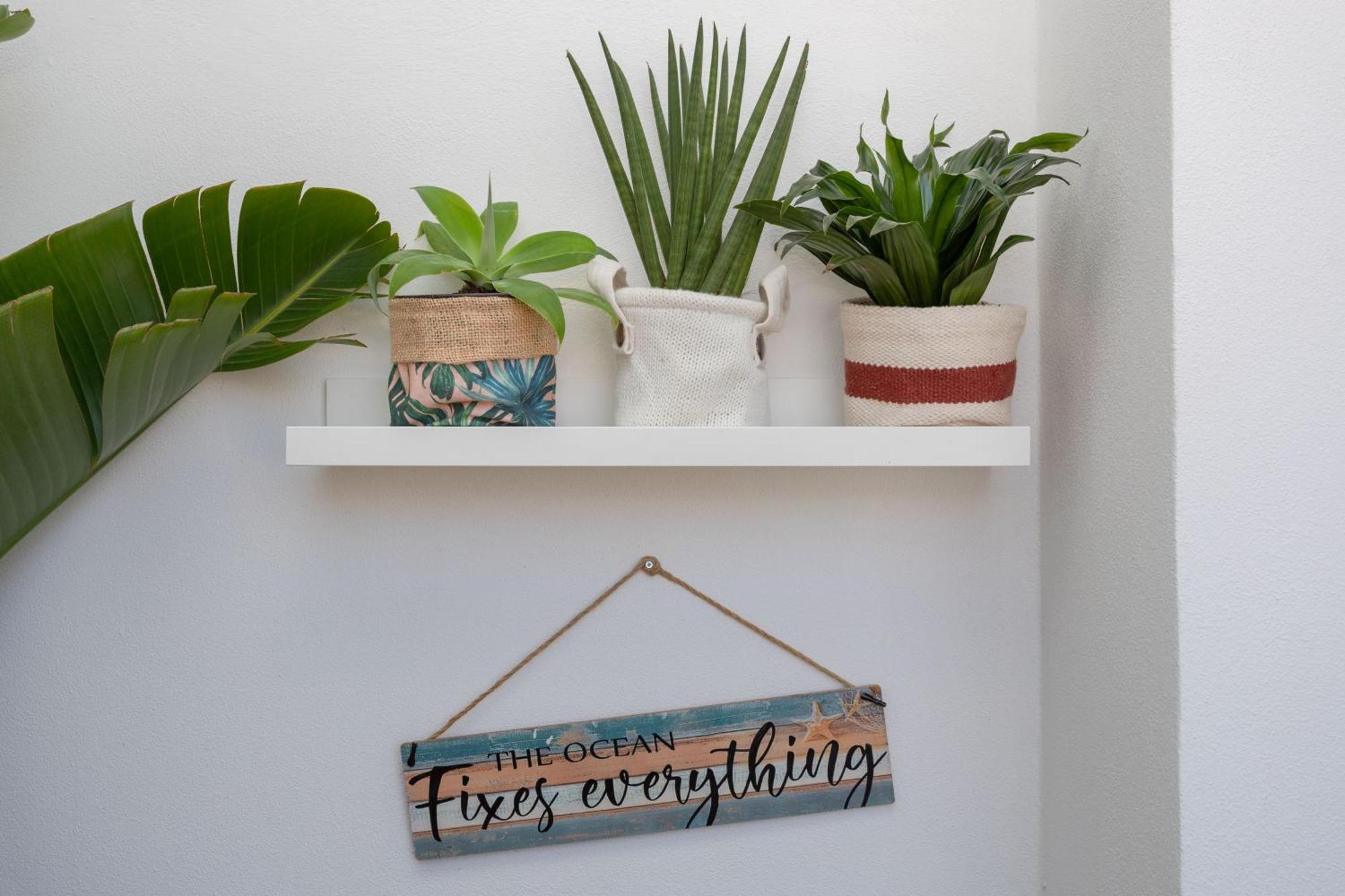 Lush Botanic Oasis With A Boho Hideaway, Near & Cafes Apartment Lagos